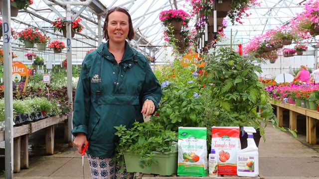 Herb Upkeep