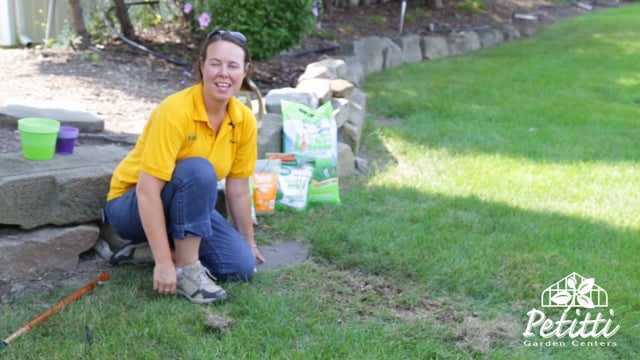 Lawn Care Tips