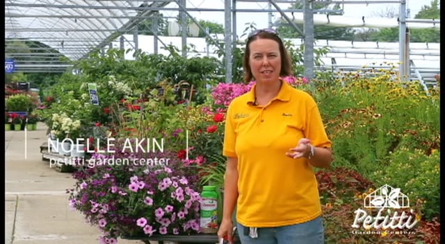 Pruning Tips