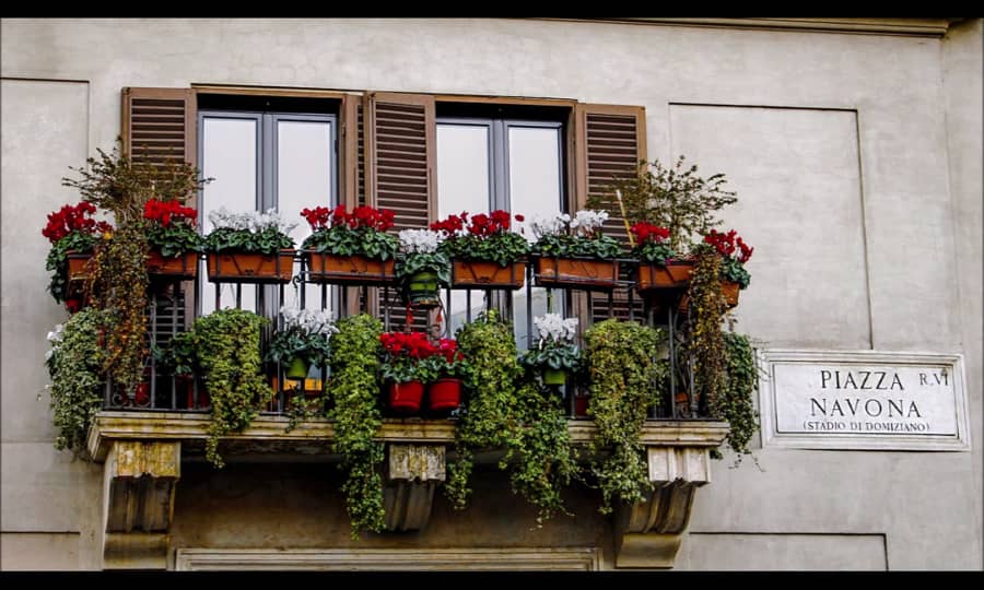 Watering Plants On Chol Hamoed Shulchanaruchharav Com