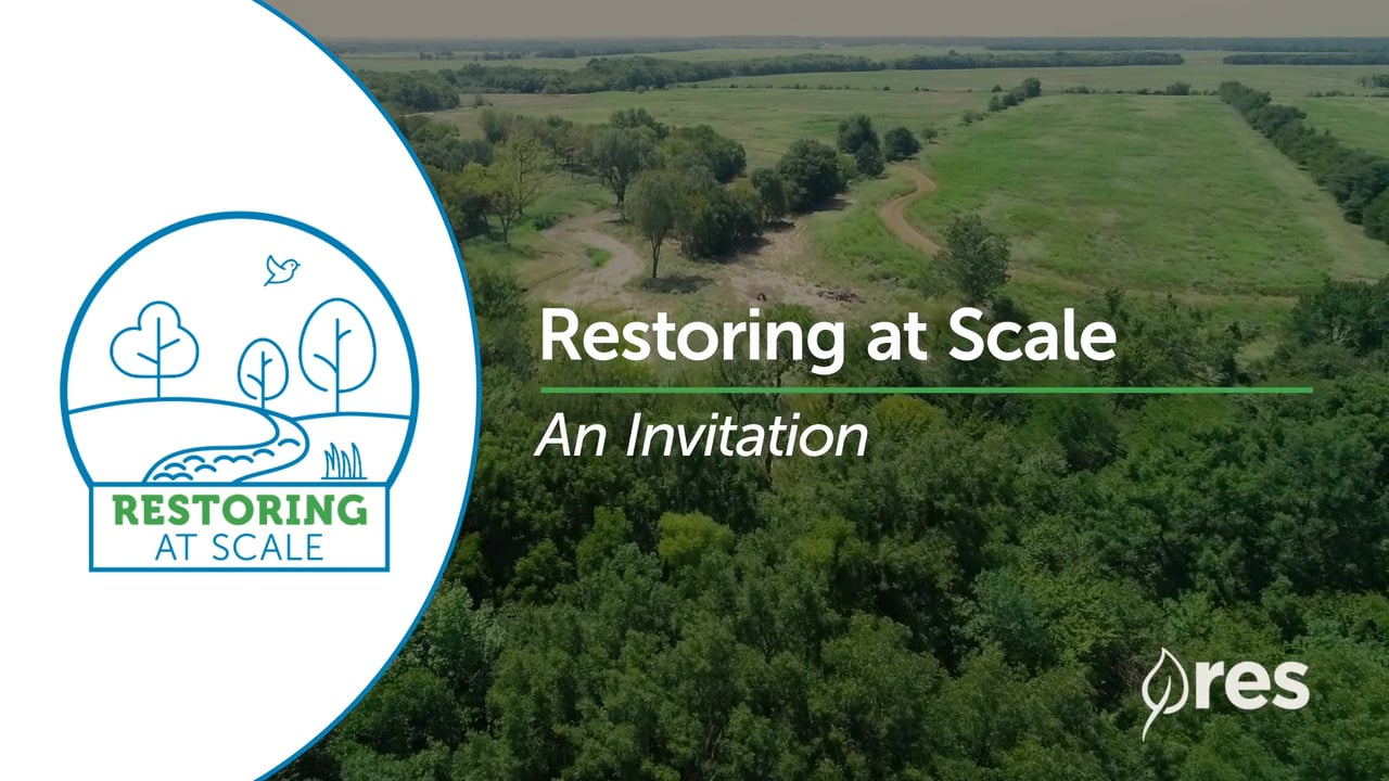 Restoring at Scale: Episode 1 - An Invitation