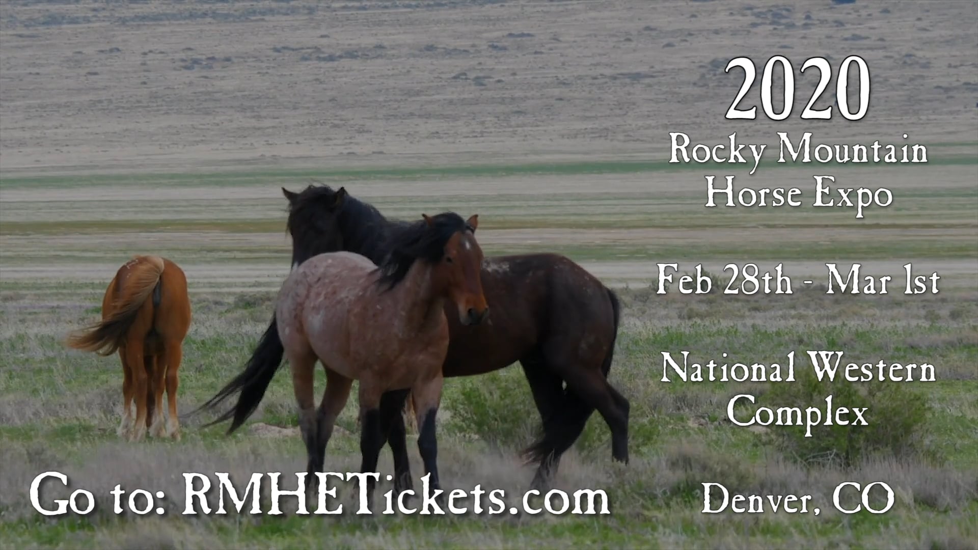 2020 Rocky Mountain Horse Expo on Vimeo