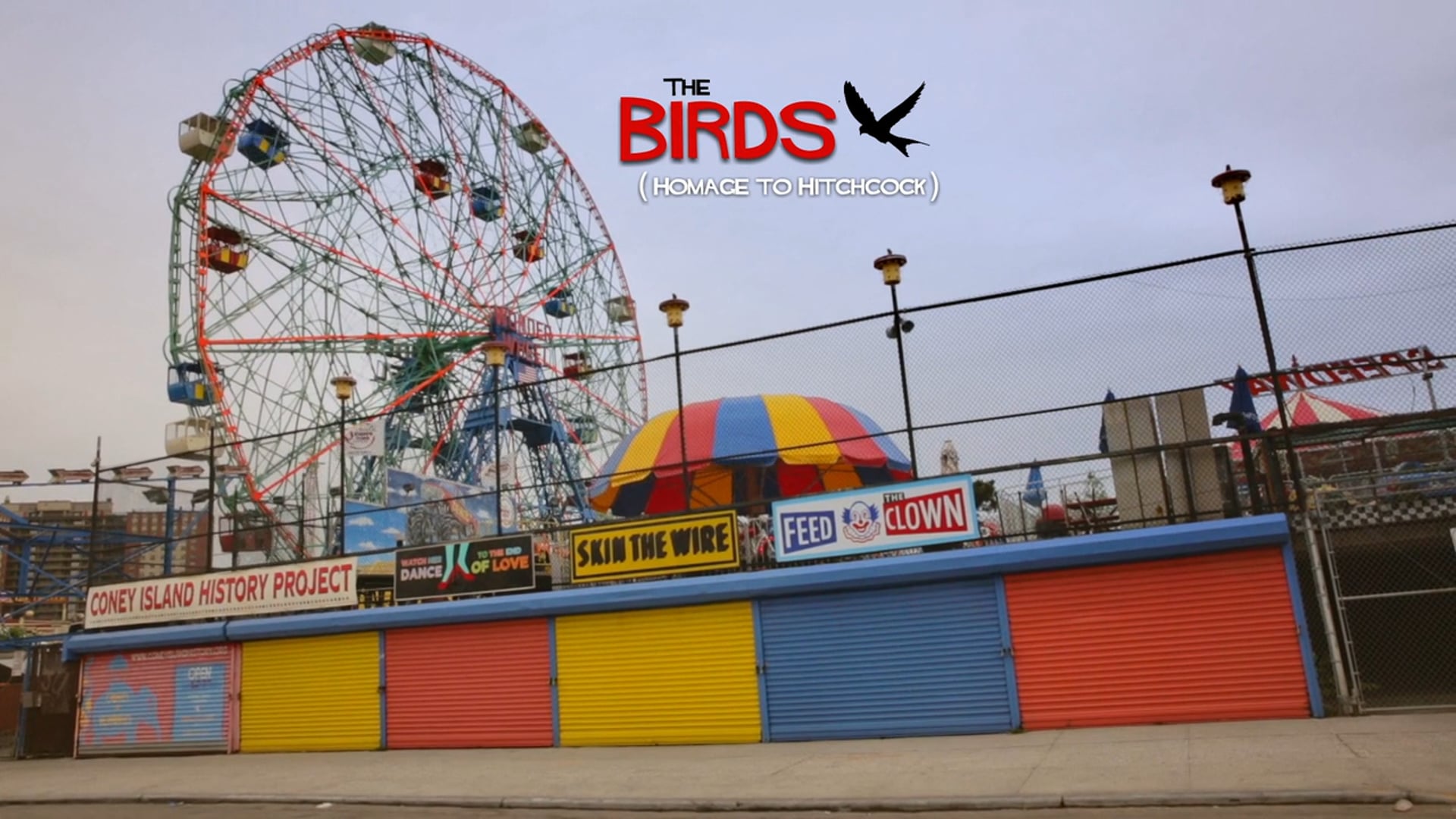 The Birds (Homage to Hitchcock)