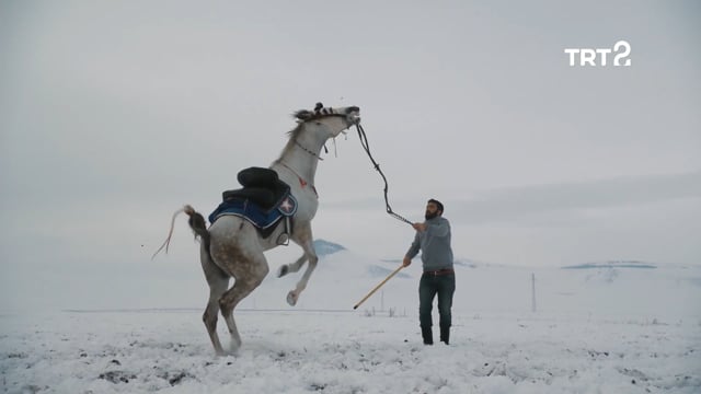 Epic Frames / Destansı Kareler