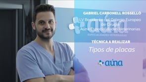 Tipos de placas