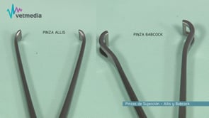 Material quirúrgico: Pinzas de sujeción