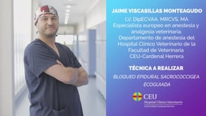 Bloqueo epidural sacrococcigea ecoguiada