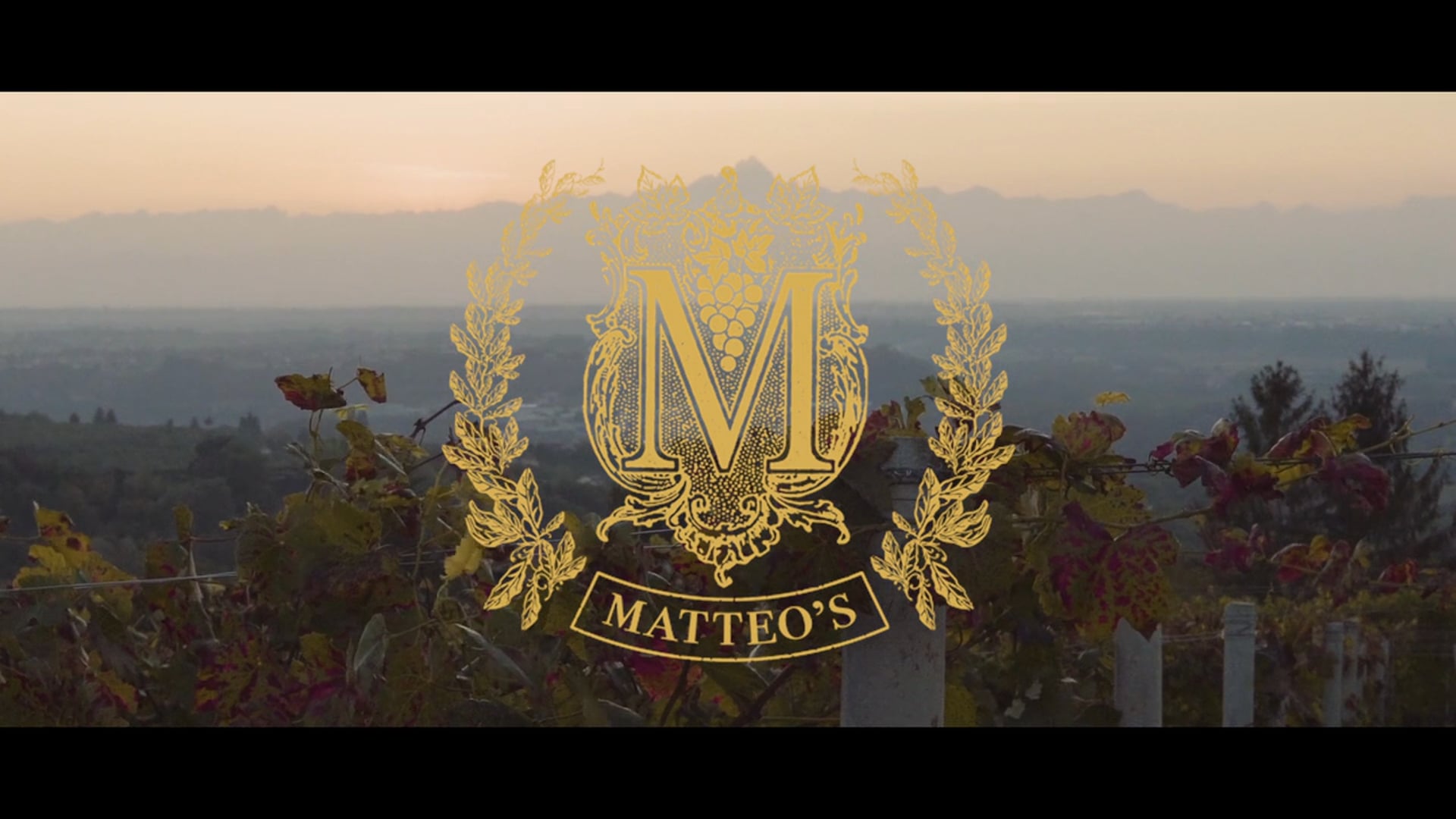 Edit only - Matteo's - A Trip To The Vineyard