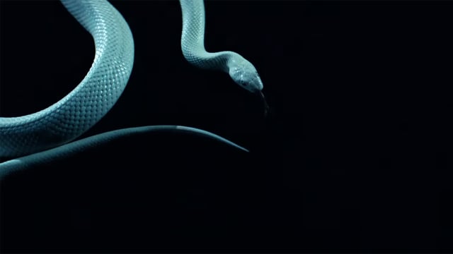 A thumbnail for the film 'Rolls-Royce - Black Badge x Viktoria Modesta' by  rob witt