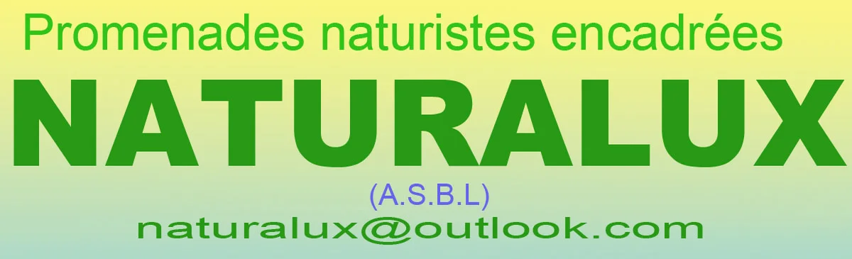 Naturlux devient