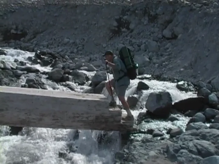 The Meadow Eschenau 1986-2013 tamiser購入 The Meadow Eschenau 1986-2013 tamiser購入