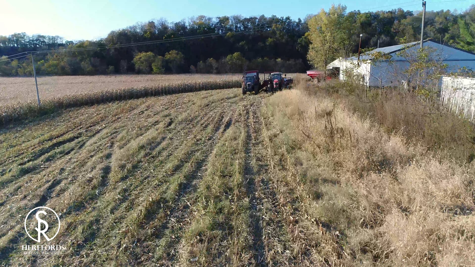 SRR Chopping Corn Silage 2019