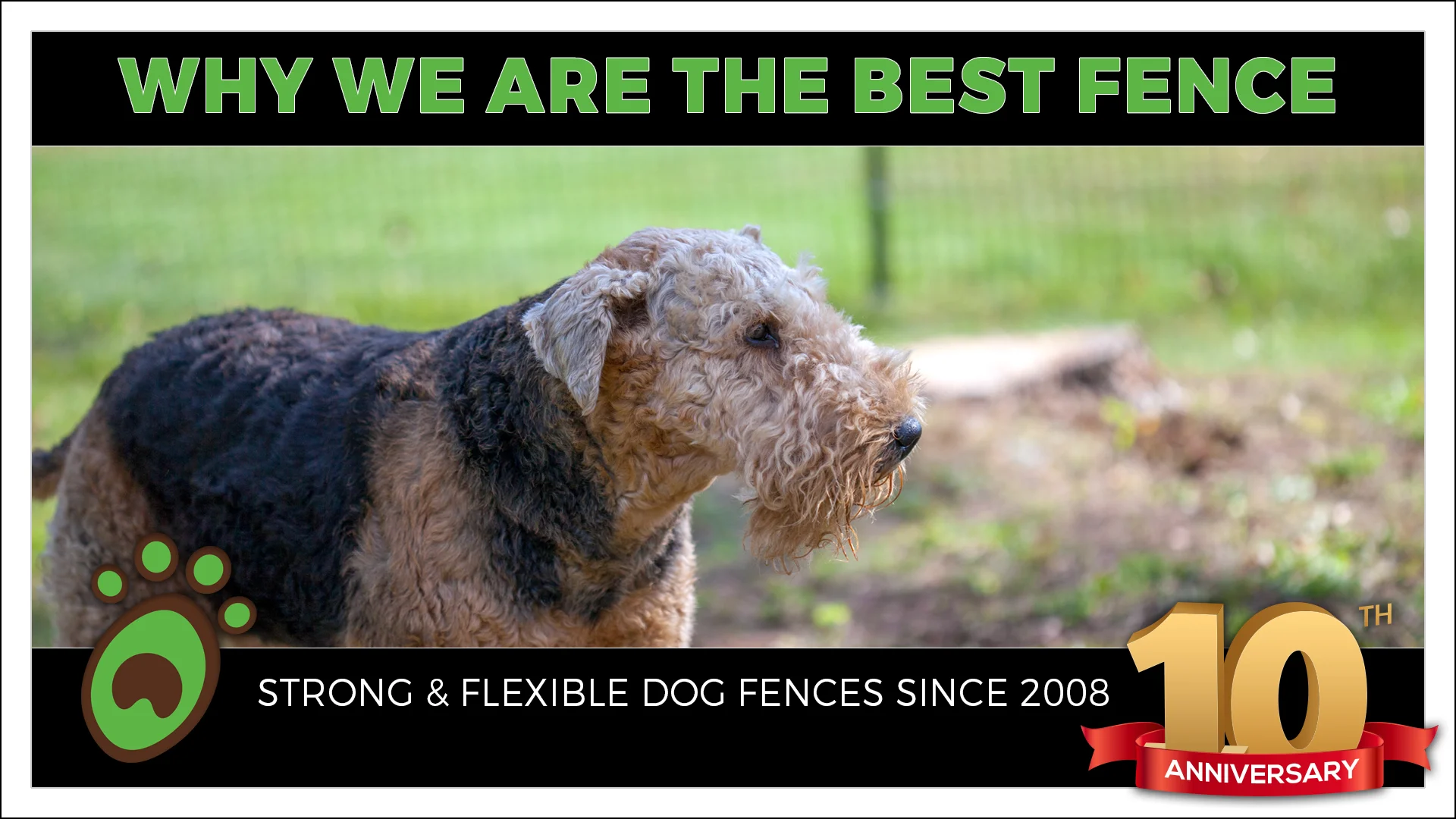 Flexible dog outlet fence