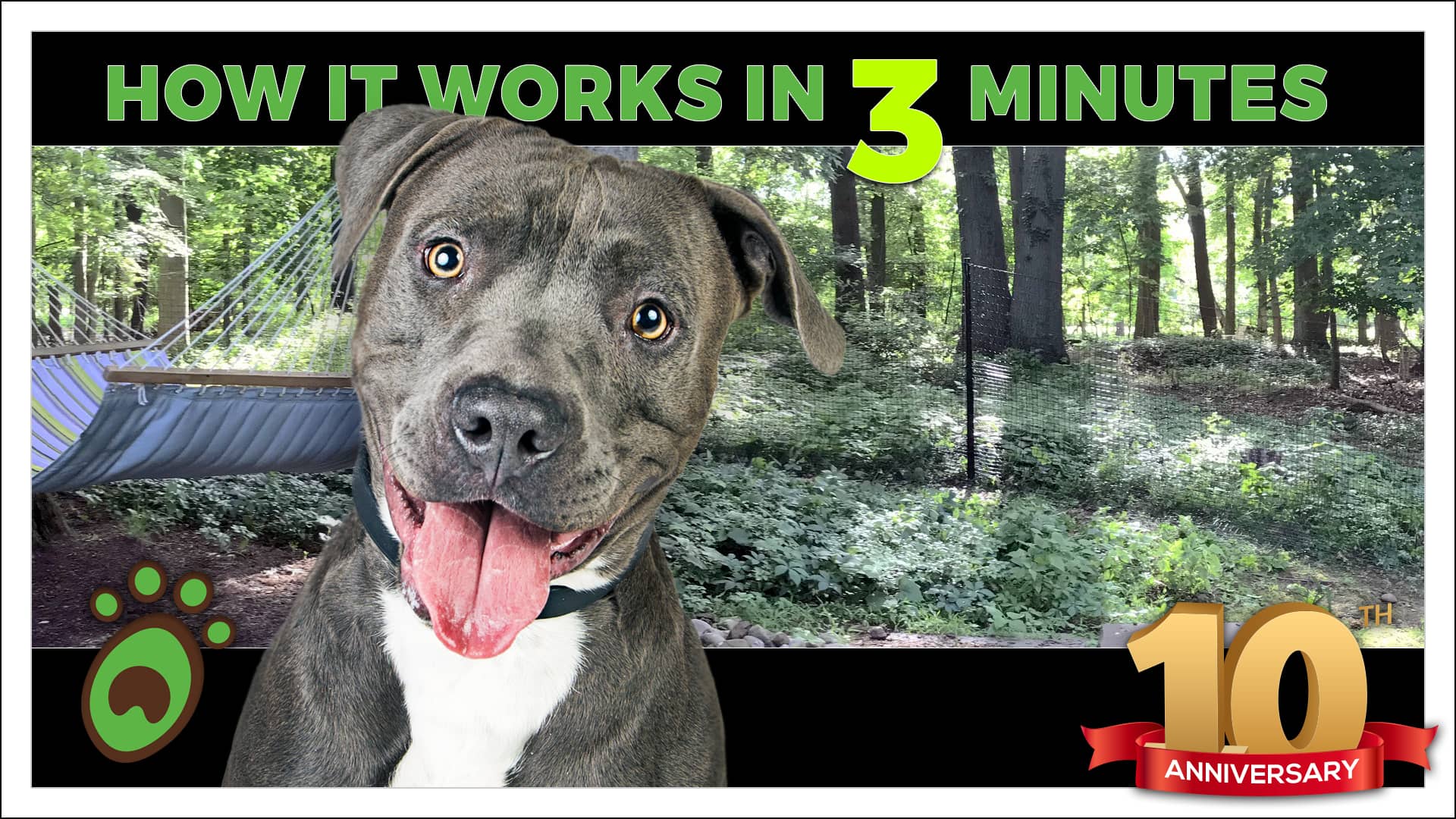 How our Pet Playgrounds Dog Fence System Works on Vimeo