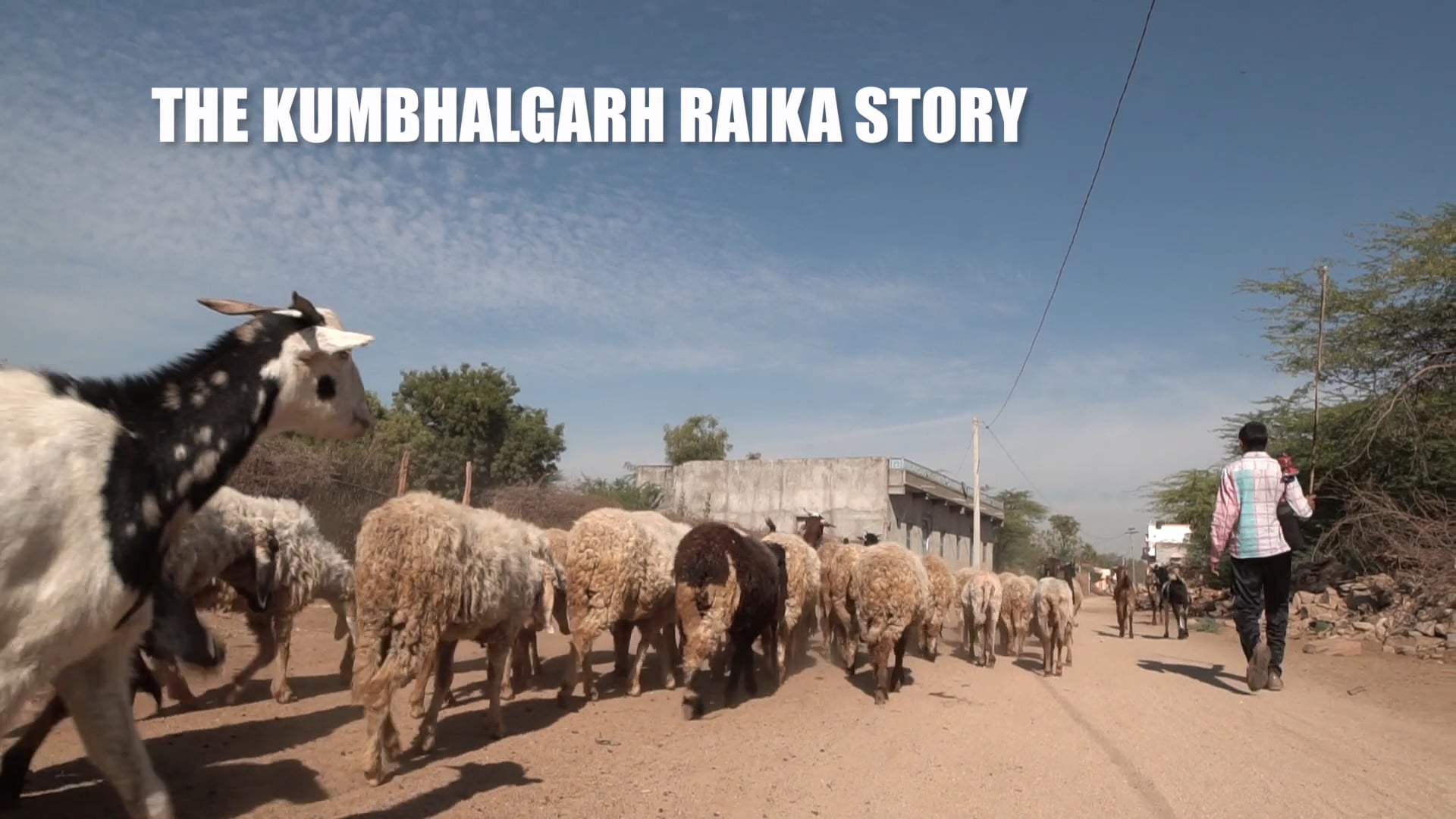 The Kumbalgarh Raika story
