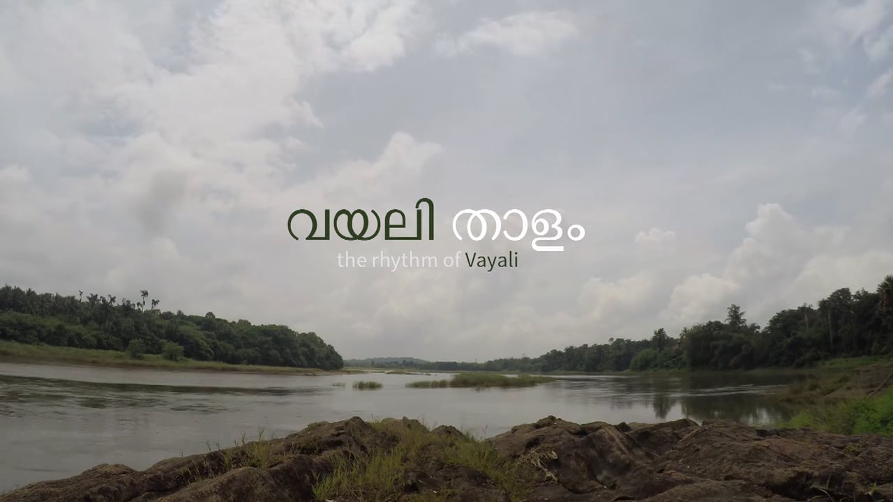 Rhythm of Vayali