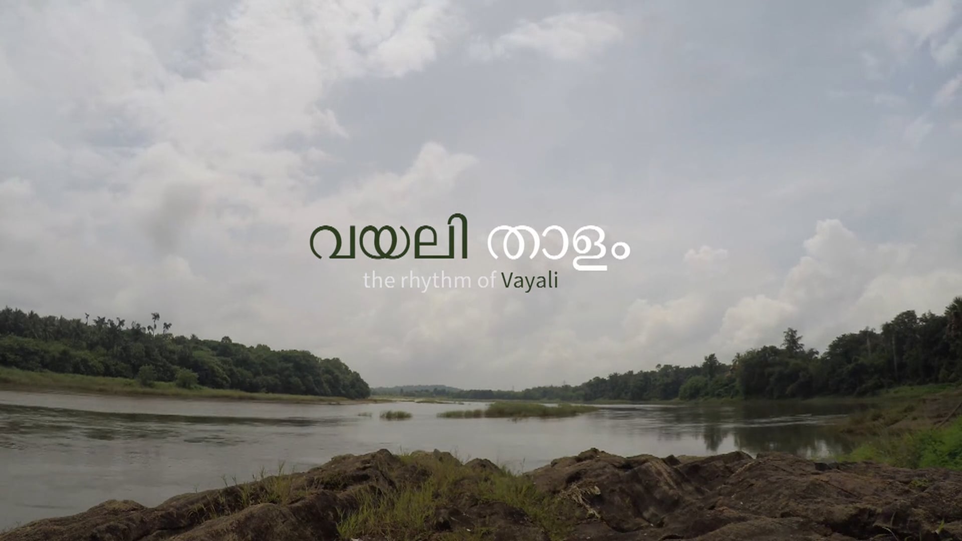 Rhythm of Vayali