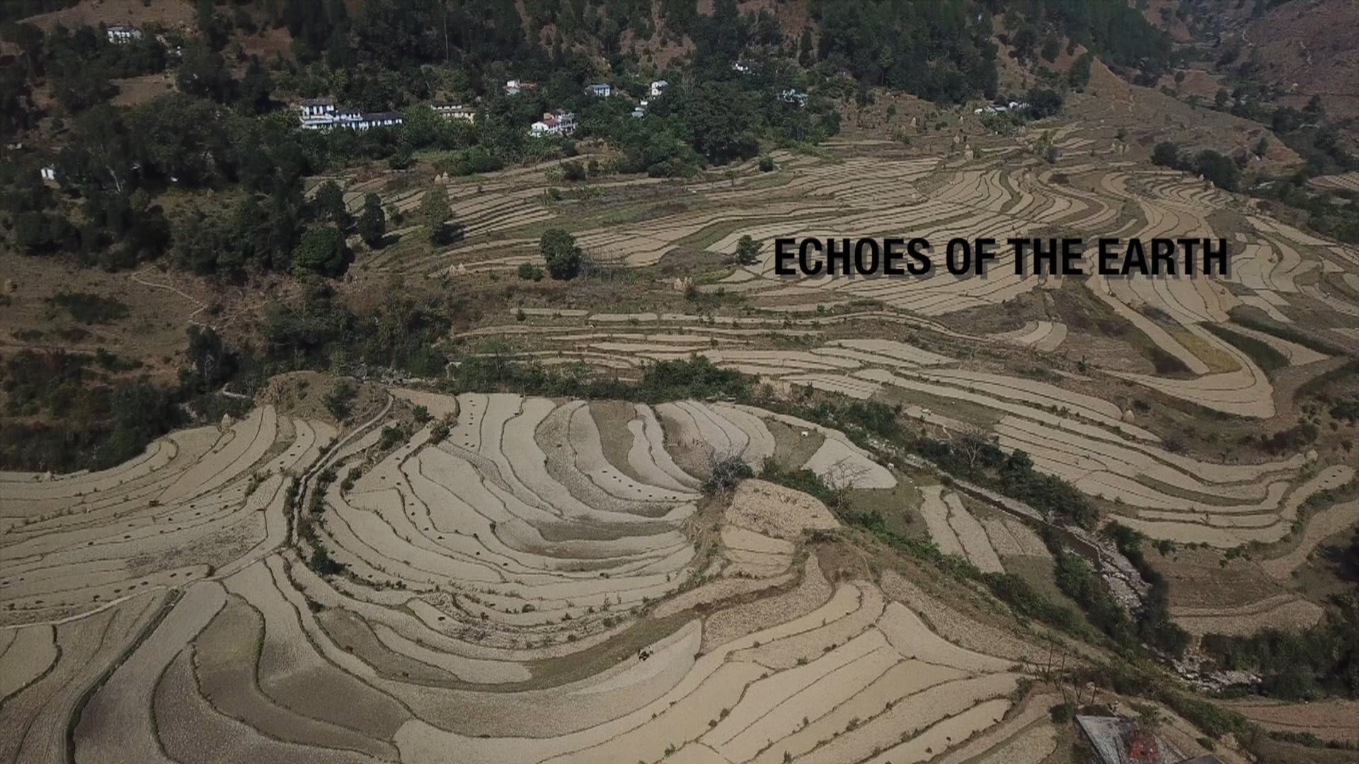Echoes of the Earth