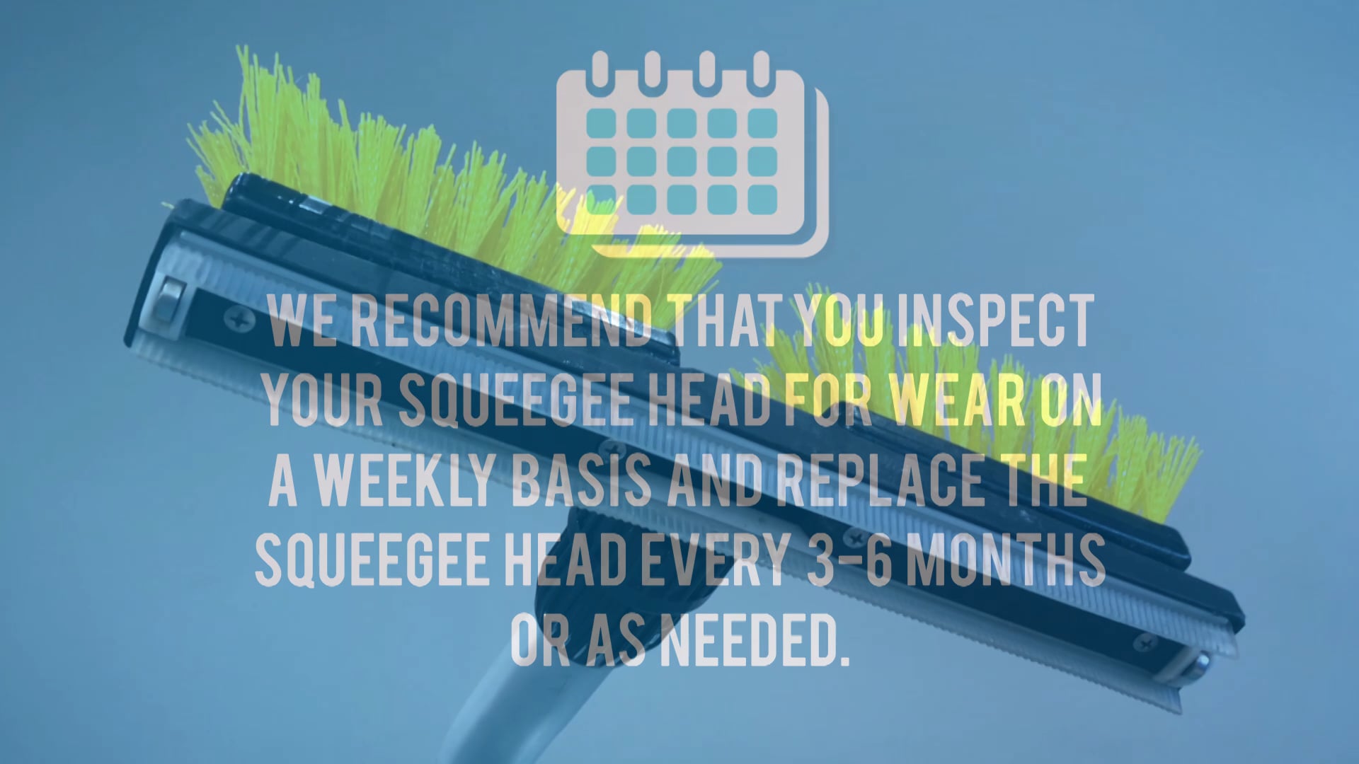 Squeegee Head - video thumbnail