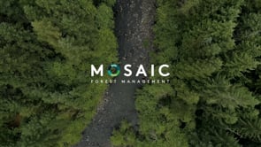 Mosaic Forest Management - Watershed Awareness - 2019