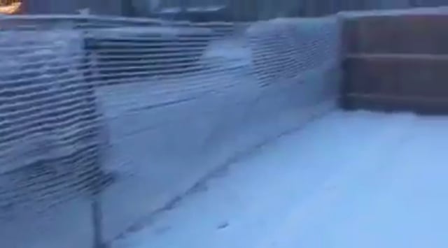 do underground dog fences work under snow