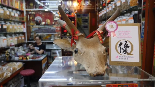 Hong Kong Protests with Mark Austin: the small businesses hit by the action on the streets