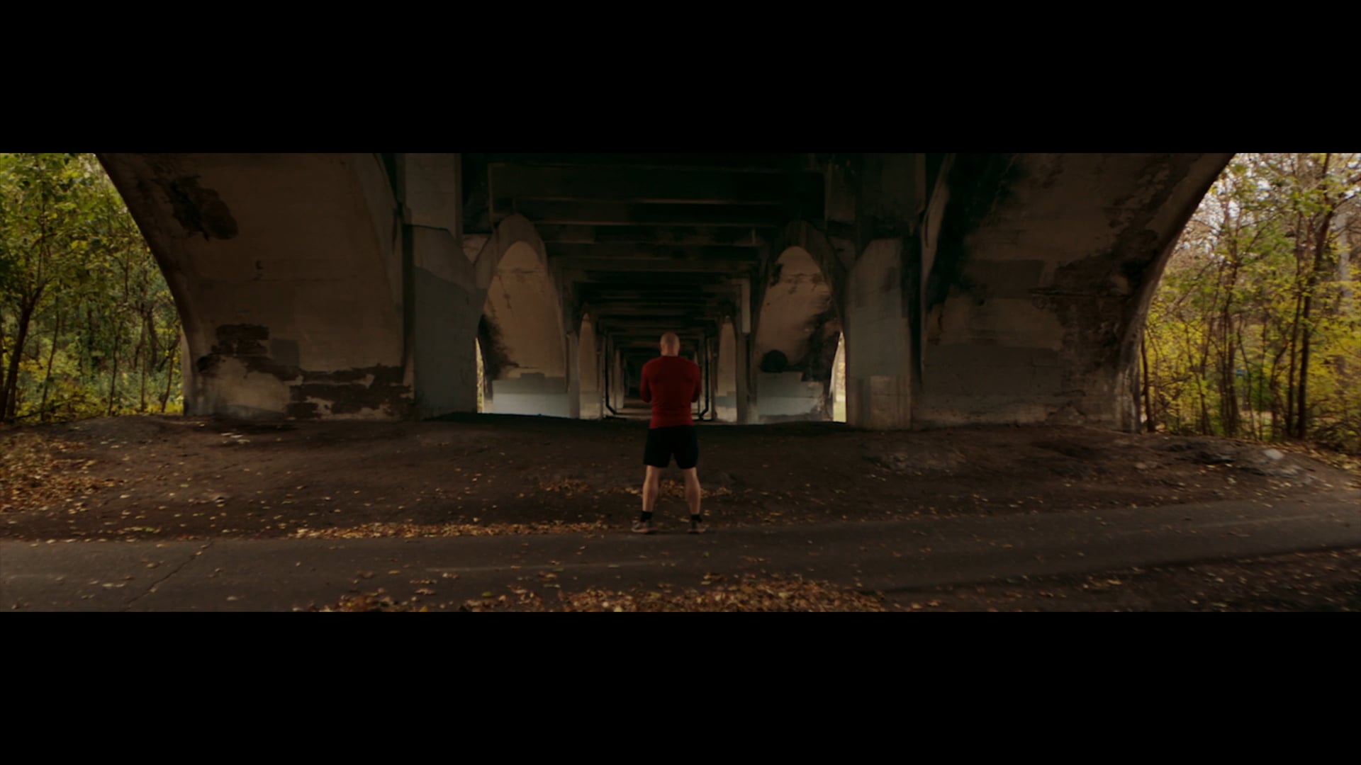 BiPro - Bold "Michael Shepherd"