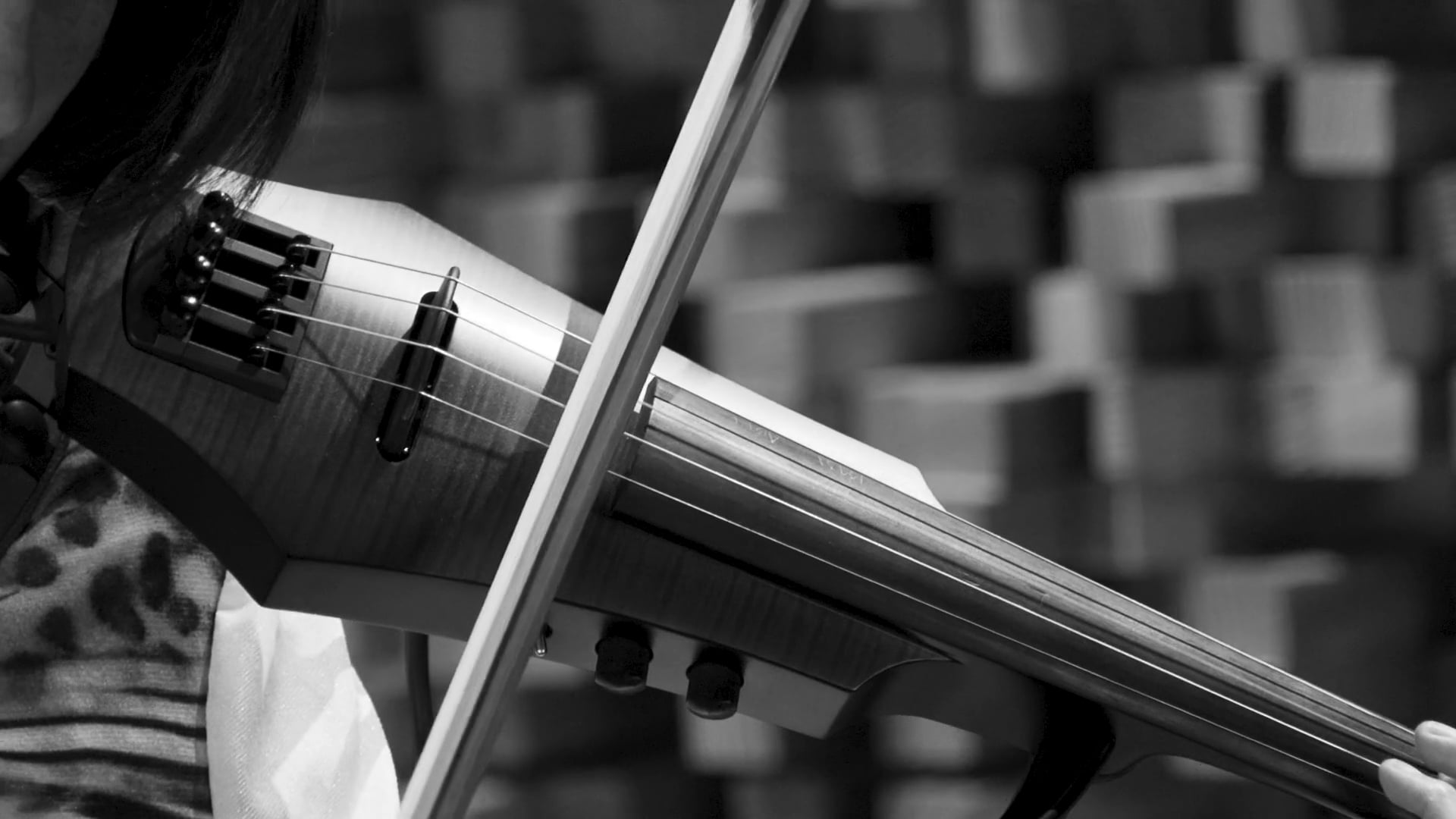 Echelon - Violin Demo