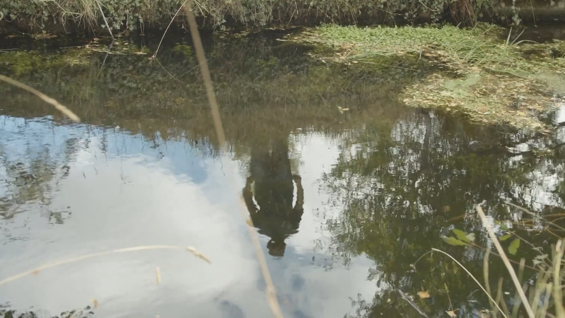 "INCERTIDUMBRE" teaser