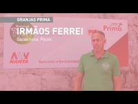 Crecimiento exponencial con Prima