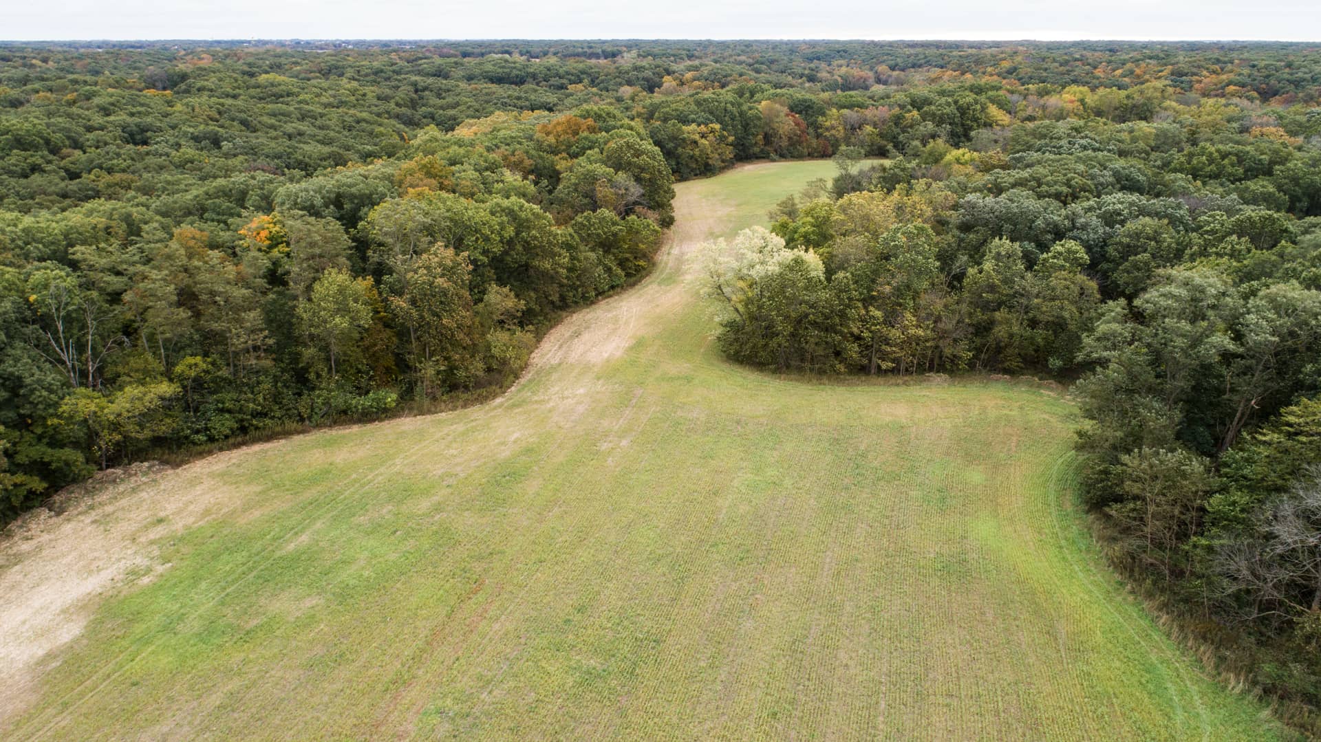 120 Acre Hunting Property For Sale In Schuyler County, IL (Narrow Crop