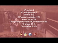 El Prima en Irmãos Ferreira Gomes