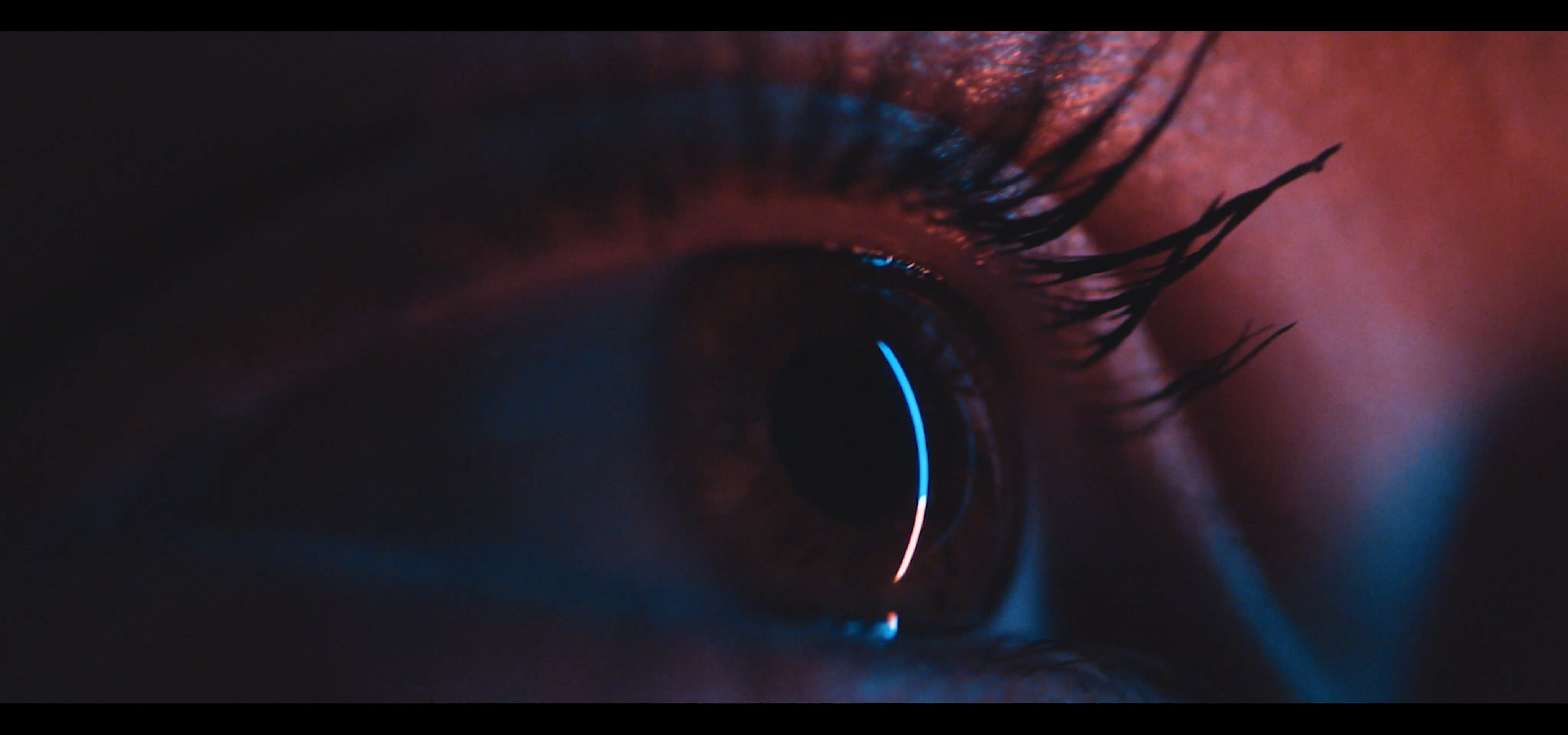 Goswick Eye - Brand Story on Vimeo