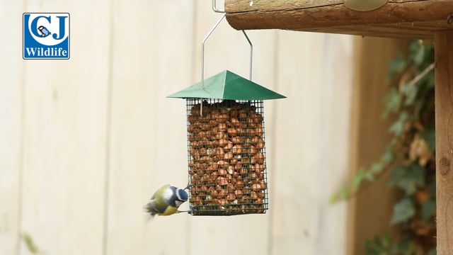 CJ Wildlife Green Peanut Cage Feeder