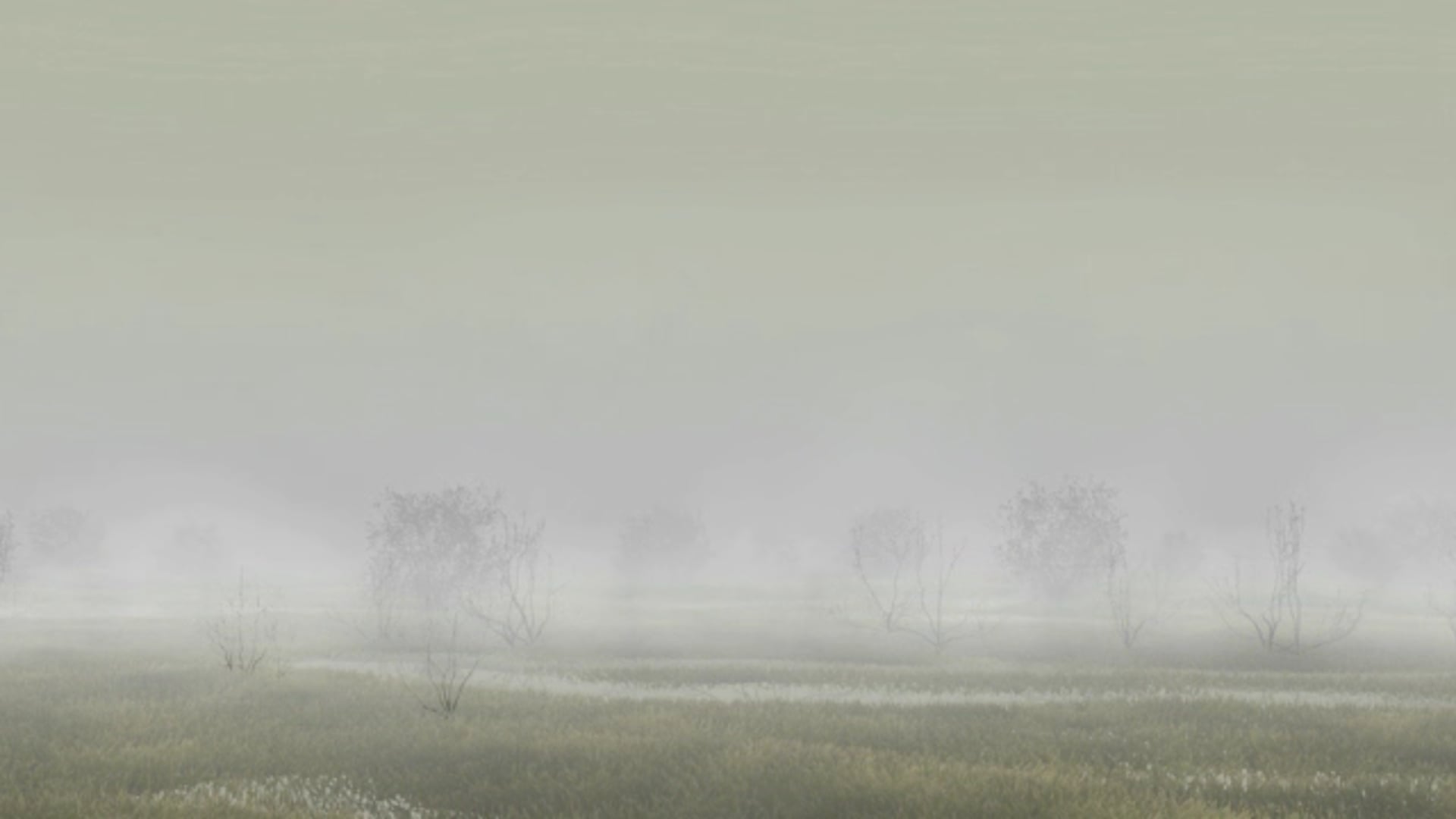 ОБОРОНА / DEFENCE / 2007