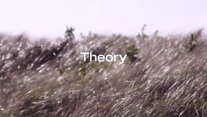Theory_60s_6c_Theory Version