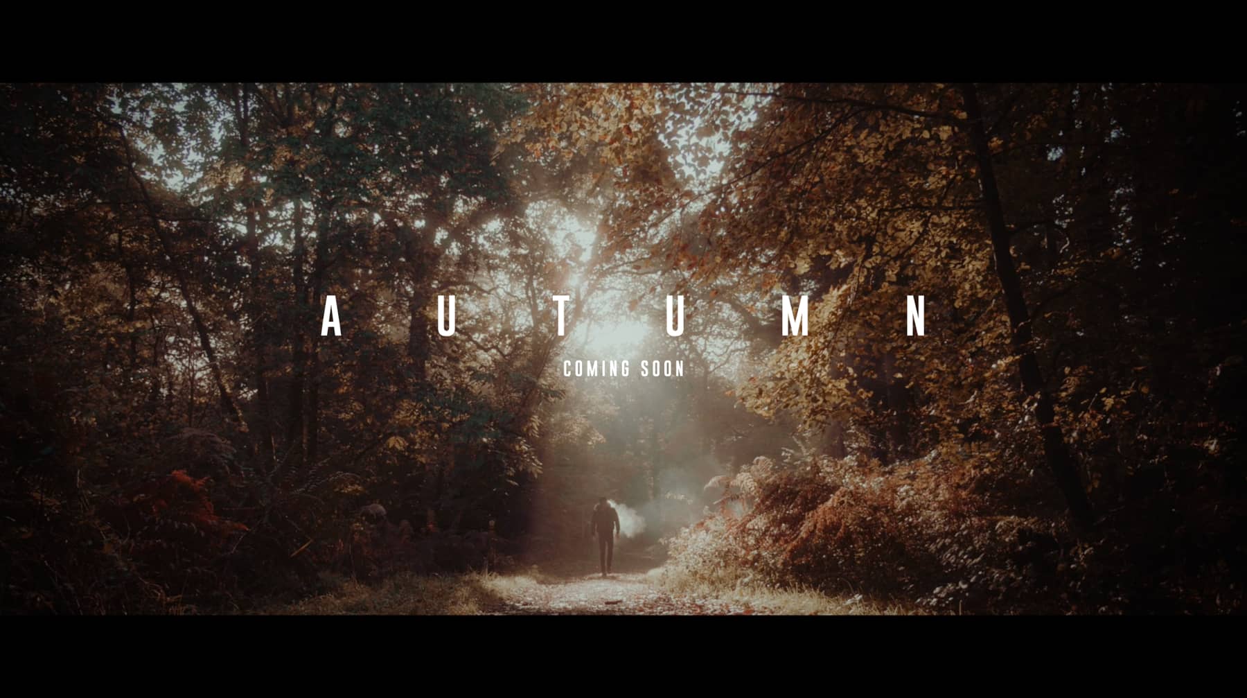 Here S Why The Black Pro Mist Is A Filter Every Filmmaker Should Have In Their Kitbag