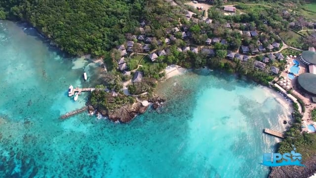 Dive Trips