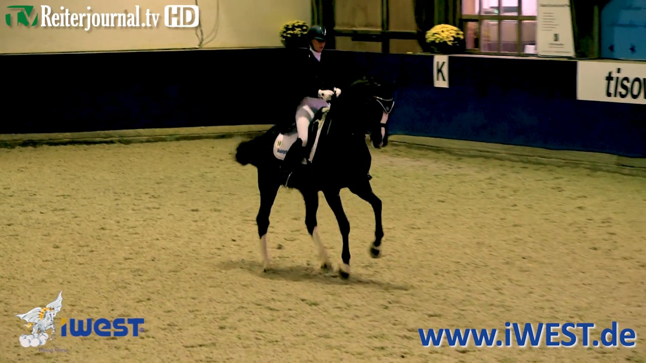 iWEST Dressurcup Station Reutlingen 2019 - wwwiWESTde