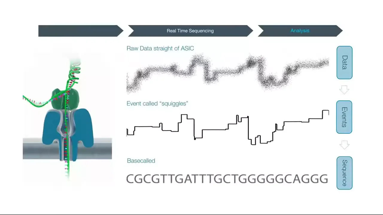 nanopore basecalling