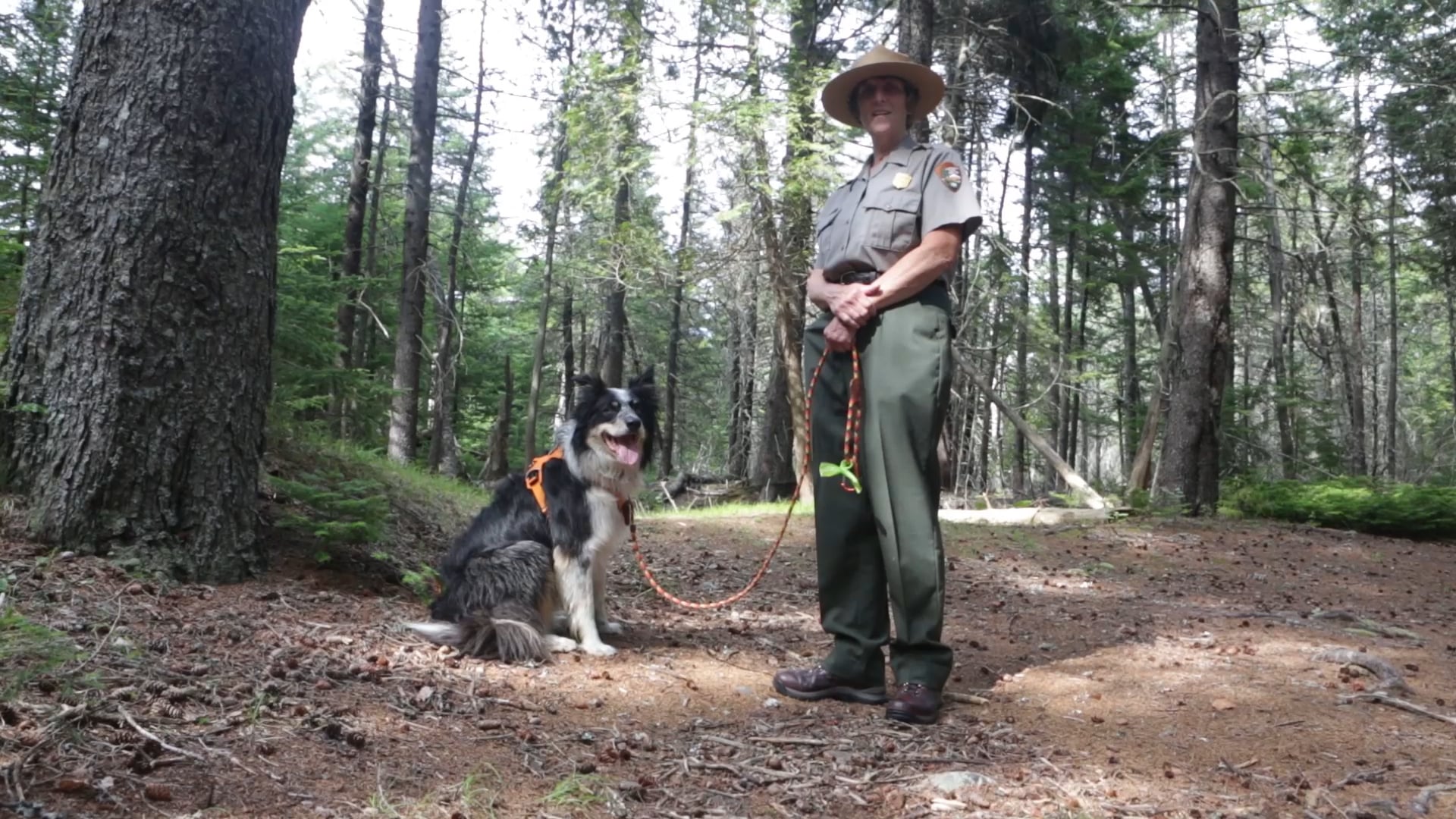 Acadia National Park Bark Ranger On Vimeo