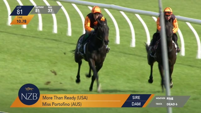 Lot 81