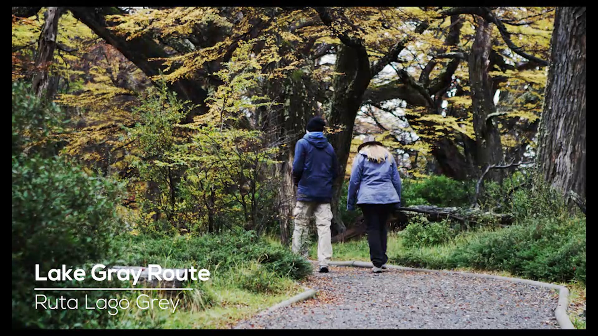 Trekking al sur de Patagonia Chilena"