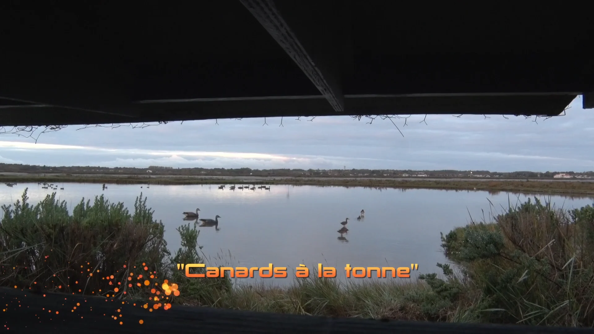 BA Canards la tonne