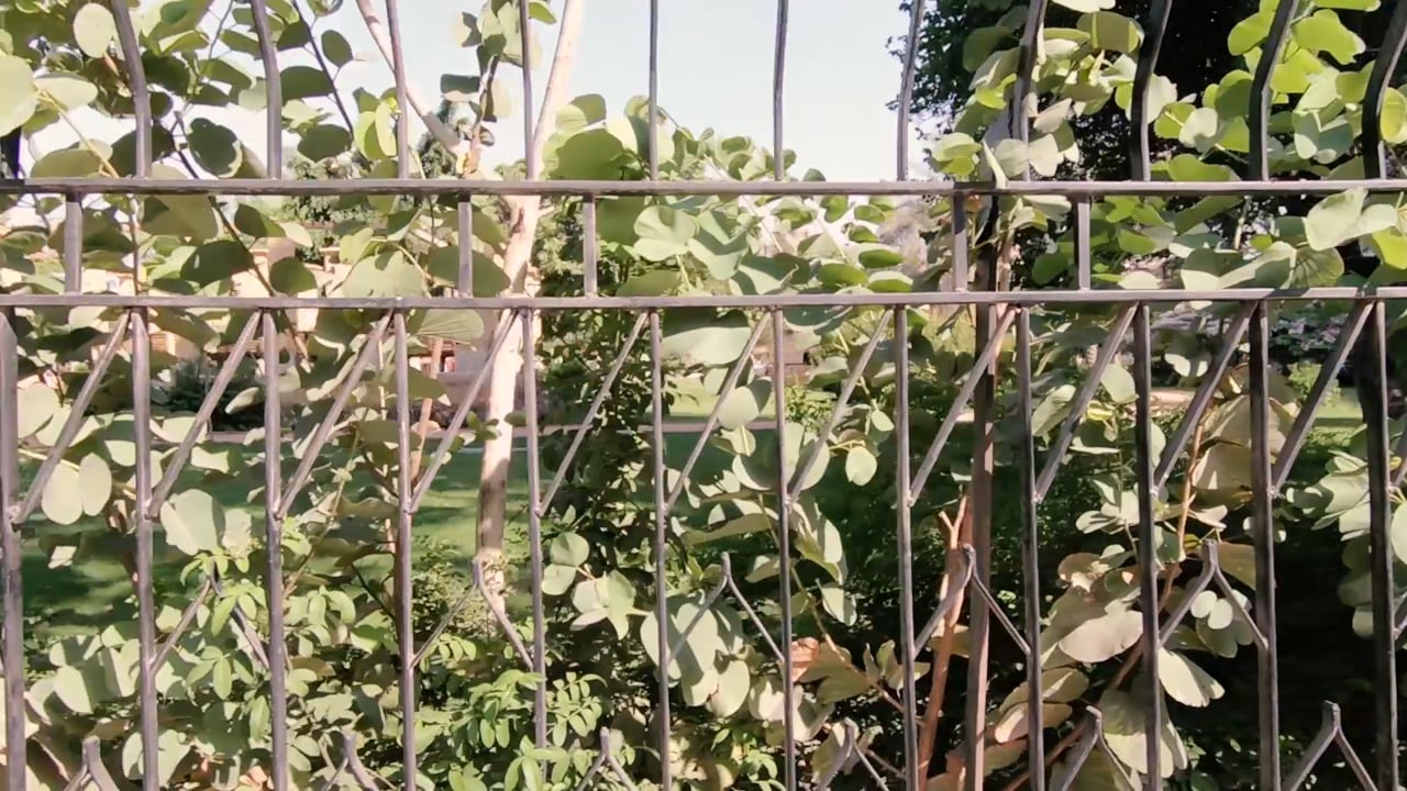 Cold Dissent, a video by Taher Abdel-Ghani and Ahmed Abdel-Azia