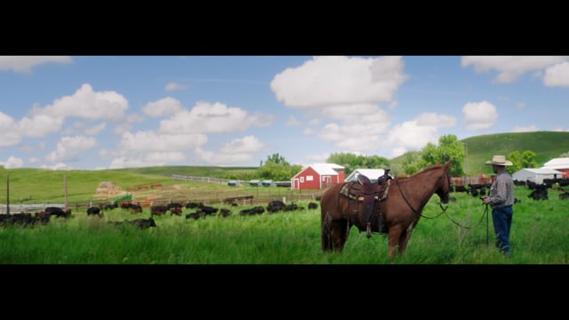 McDonald's Flagship Farmers, Lyle & Luke
