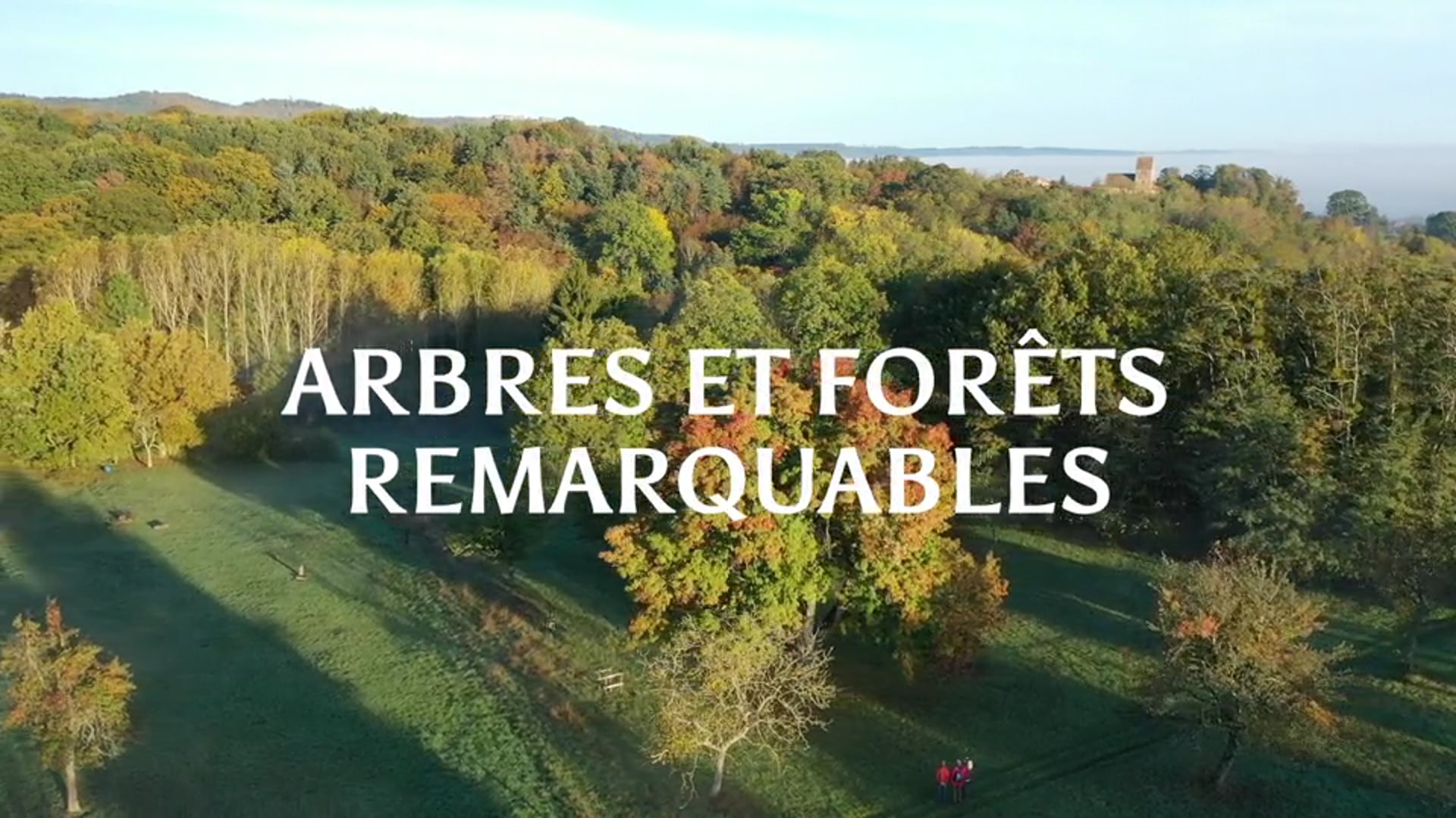 BA Arbres et Forêts Remarquables (2)