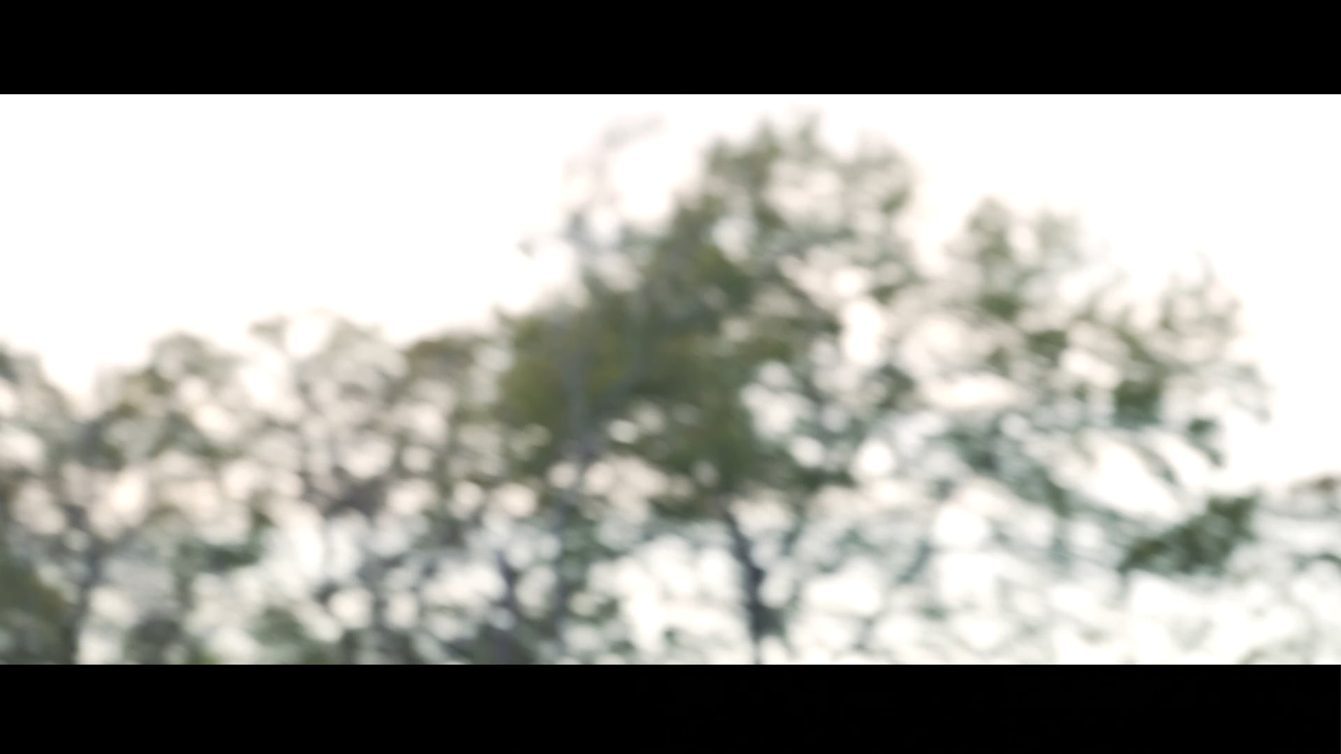 Set Free on Vimeo