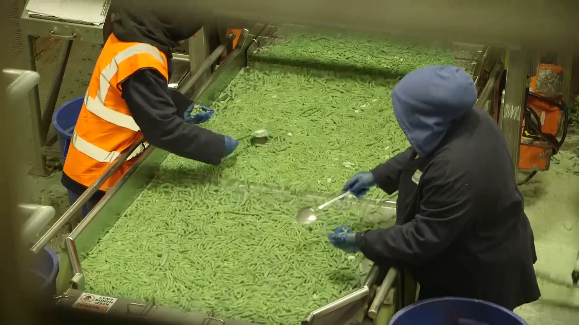 Food Processing Testimonials and Overview on Vimeo