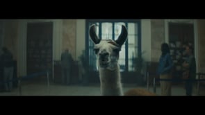 Bosch 'Llama Drama'